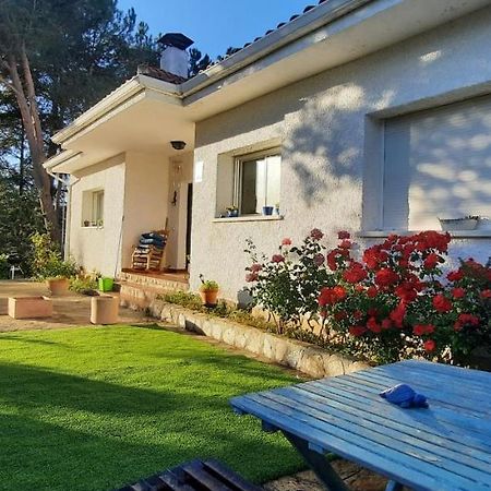 Entre Pinos Y Medusas Apartment Pedrezuela Ngoại thất bức ảnh