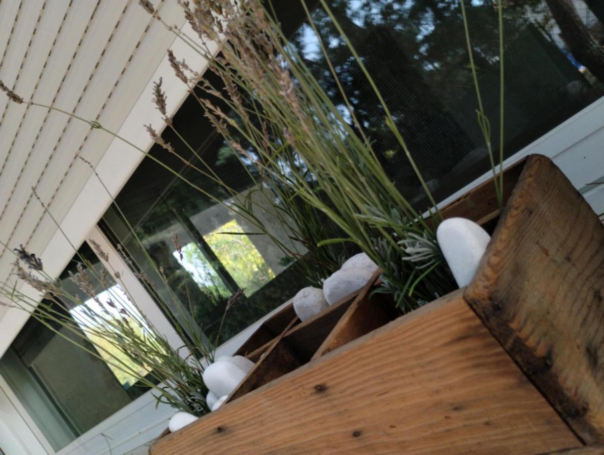Entre Pinos Y Medusas Apartment Pedrezuela Ngoại thất bức ảnh